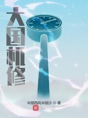 《大国机修》作者:半部西风半部沙
