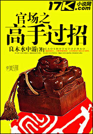 《官场之高手过招》作者:良木水中游