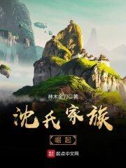 《沈氏家族崛起》作者:神木金刀