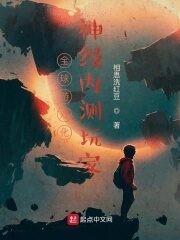 《全球游戏化:神级内测玩家》作者:相思洗红豆