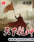 《天下乾坤》作者:成至柔
