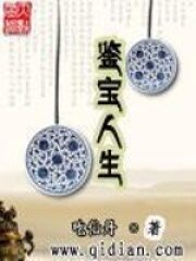《鉴宝人生》作者:吃仙丹