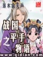 《战国之平手物语》作者:落木寂无声