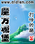《魔方城堡》作者:打呼的猪