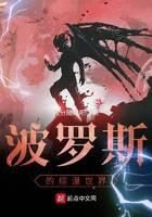 《波罗斯的综漫世界》作者:缘分随缘吧