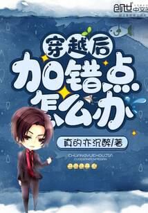 《穿越后加错点怎么办》作者:真的亦沉醉