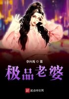 《极品老婆》作者:李兴禹