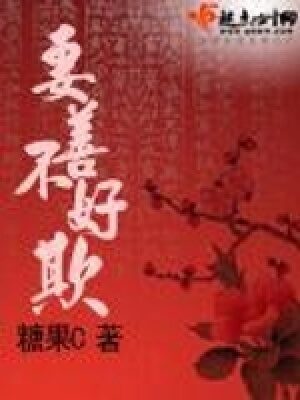 《妻善不好欺》作者：糖果C