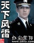 《天下风雷》作者:红尘紫陌