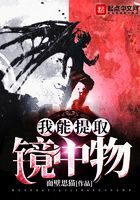 《我能提取镜中物》作者：面壁思猫