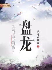 《盘龙》作者：我吃西红柿