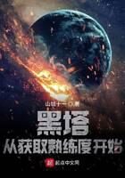 《黑塔:从获取熟练度开始》作者:山城十一