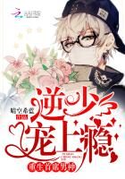 《重生首席男神:逆少,宠上瘾》作者:晴空希蓝