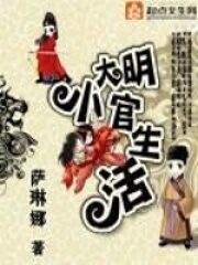 《大明小官生活》作者:萨琳娜