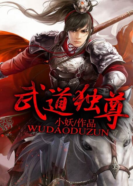 《武道独尊》作者:小妖