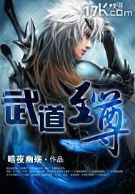 《武道至尊》作者:暗夜幽殇