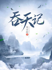 《吞天记》作者:风青阳