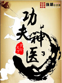 《功夫神医》作者:步行天下