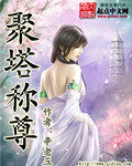 《聚塔称尊》作者:辛老五