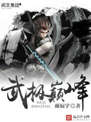 《武极巅峰》作者:雨辰宇