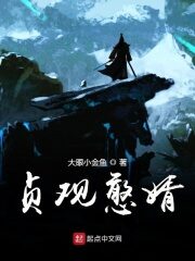 《贞观憨婿》作者:大眼小金鱼