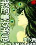 《我的美女老总》作者:李兴禹