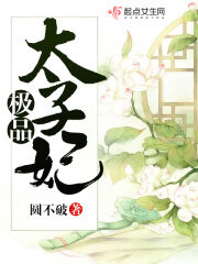 《极品太子妃》作者:圆不破