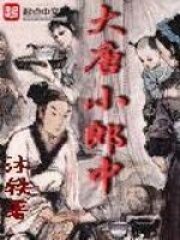 《大唐小郎中》作者:沐轶
