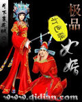 《极品女婿》作者:月下菜花贼