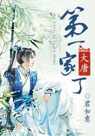 《大唐第一家丁》作者:君如意