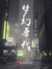 《我的梦幻年代》作者:油炸大金