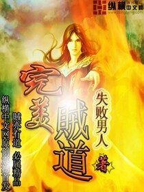《完美贼道》作者:失败男人