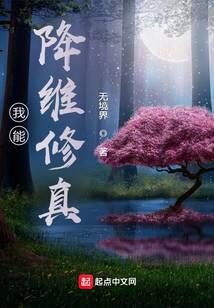 《我能降维修真》作者：无境界