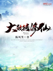 《大数据修仙》作者:陈风笑