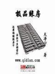 《极品账房》作者:天净沙秋思