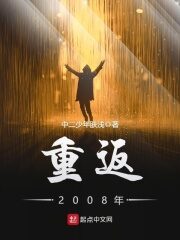 《重返2008年》作者:中二少年肤浅