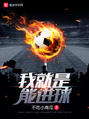 《我就是能进球》作者:不吃小南瓜