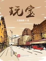 《玩宝》作者:冬雪晚晴