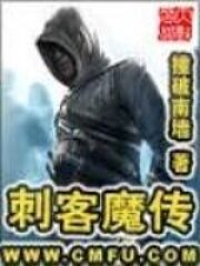 《刺客魔传》作者:撞破南墙