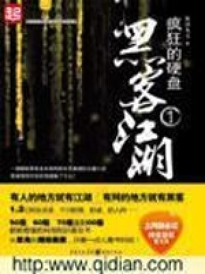 《疯狂的硬盘(黑客江湖)》作者:银河九天