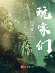 《大唐的玩家们》作者:金寻者