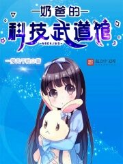 《奶爸的科技武道馆》作者:一梦几千秋