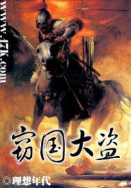 《窃国大盗》作者:理想年代