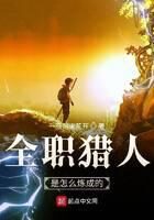 《全职猎人是怎么炼成的》作者:一夜风来花开