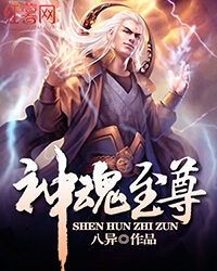 《神魂至尊》作者:八异