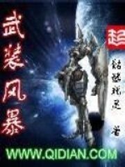 《武装风暴》作者:骷髅精灵