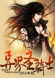 《异界圣骑士》作者:冷石