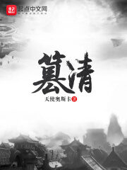 《篡清》作者:天使奥斯卡