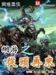 《网游之从头再来》作者:网络黑侠