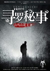 《寻罗秘事》作者:山鸟山花主